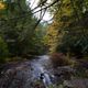 Illustration for article titled Fall Photos 2